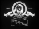 The Crowd (1928) Drama, Romance (DVD) Visually Enhanced