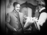The Crowd (1928) Drama, Romance (DVD) Visually Enhanced