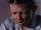 Invaders from Mars (1953) Horror, Sci-Fi (DVD) Visually Enhanced
