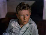 Invaders from Mars (1953) Horror, Sci-Fi (DVD) Visually Enhanced