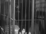 The Monster Walks (1932)  Horror (DVD) Visually Enhanced