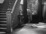 The Monster Walks (1932)  Horror (DVD) Visually Enhanced