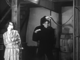 The Monster Walks (1932)  Horror (DVD) Visually Enhanced