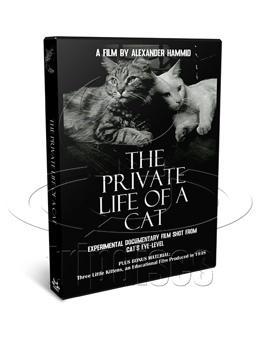 The Private Life of a Cat (1947) Plus, Three Little Kittens (1938) Documentary, Short (DVD)