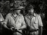 Tarzan and the Trappers (1958) Action, Adventure (DVD)