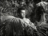 Tarzan and the Trappers (1958) Action, Adventure (DVD)