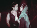 The Black Pirate (1926) Action, Adventure (DVD) - tripdiscs.com