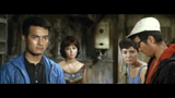 Attack of the Mushroom People (aka. Matango) (1963) Drama, Horror, Mystery (DVD)