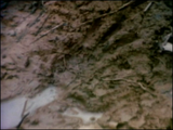 The Legend of Boggy Creek (1972) The Legend of Bigfoot (1975) Documentary, Drama, Horror, Mystery (2 x DVD)