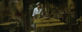 Attack of the Mushroom People (aka. Matango) (1963) Drama, Horror, Mystery (DVD) - tripdiscs.com