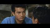 Attack of the Mushroom People (aka. Matango) (1963) Drama, Horror, Mystery (DVD)