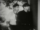 The Black Coin (1936) Action, Adventure, Crime (2 x DVD)