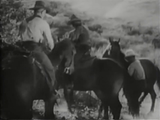 The Black Coin (1936) Action, Adventure, Crime (2 x DVD)