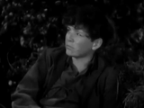 Boy Slaves (1939) Action, Adventure, Crime (DVD)