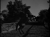 The Mark of Zorro (1940) Action, Adventure, Romance (DVD)