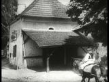 Nosferatu - The Original Cut (1922) Fantasy, Horror (DVD) Visually Enhanced