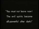 Nosferatu - The Original Cut (1922) Fantasy, Horror (DVD) Visually Enhanced