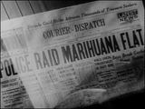Reefer Madness (Tell Your Children) (1936) Crime, Drama (DVD)