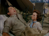 The Snows of Kilimanjaro (1952) Adventure, Drama, Romance (DVD)