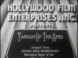 Tarzan of the Apes (1918) Action, Adventure (DVD)
