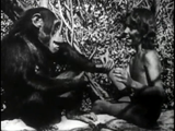Tarzan of the Apes (1918) Action, Adventure (DVD)