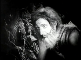 Tarzan of the Apes (1918) Action, Adventure (DVD)