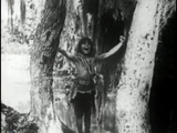 Tarzan of the Apes (1918) Action, Adventure (DVD)