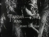 Tarzan of the Apes (1918) Action, Adventure (DVD)