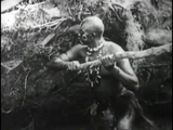 Tarzan of the Apes (1918) Action, Adventure (DVD)