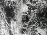 Tarzan of the Apes (1918) Action, Adventure (DVD)