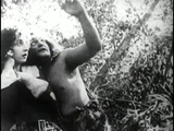 Tarzan of the Apes (1918) Action, Adventure (DVD)