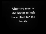The Private Life of a Cat (1947) Plus, Three Little Kittens (1938) Documentary, Short (DVD)