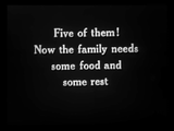 The Private Life of a Cat (1947) Plus, Three Little Kittens (1938) Documentary, Short (DVD)