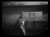 The Private Life of a Cat (1947) Plus, Three Little Kittens (1938) Documentary, Short (DVD)