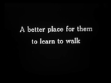 The Private Life of a Cat (1947) Plus, Three Little Kittens (1938) Documentary, Short (DVD)