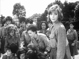 Werewolf in a Girls' Dormitory (1961) Horror, Mystery (DVD)