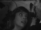 Werewolf in a Girls' Dormitory (1961) Horror, Mystery (DVD)