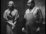 A Shriek in the Night (1933) Crime, Mystery, Romance (DVD) Visually Enhanced