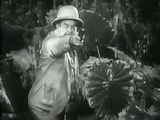 The Call of the Savage (1935) Visually Enhanced, Adventure (2 x DVD)