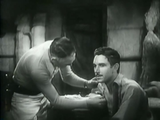 The Call of the Savage (1935) Visually Enhanced, Adventure (2 x DVD)