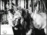 Congo Bill, King of the Jungle (1948) Action, Adventure, Mystery (2 x DVD)