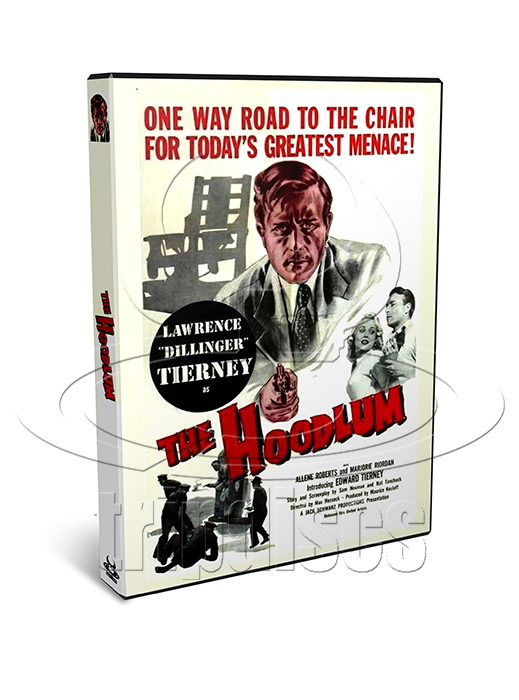 The Hoodlum (1951) Crime, Drama, Film-Noir (DVD)