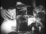 Streets of Sorrow (Joyless Street) (Die freudlose Gasse) (1925) Drama (DVD)