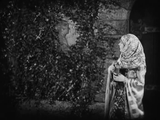 Robin Hood (1922) Adventure, Family, Romance (DVD)