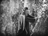 Robin Hood (1922) Adventure, Family, Romance (DVD)