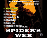 The Spider's Web (1938) Action, Crime, Drama (2 x DVD)