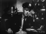 The Spider's Web (1938) Action, Crime, Drama (2 x DVD)