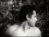 Tarzan and the Trappers (1958) Action, Adventure (DVD)
