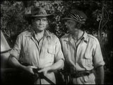 Tarzan and the Trappers (1958) Action, Adventure (DVD)
