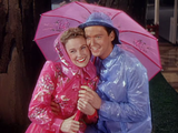 Till the Clouds Roll By (1946) Biography, Musical (DVD)